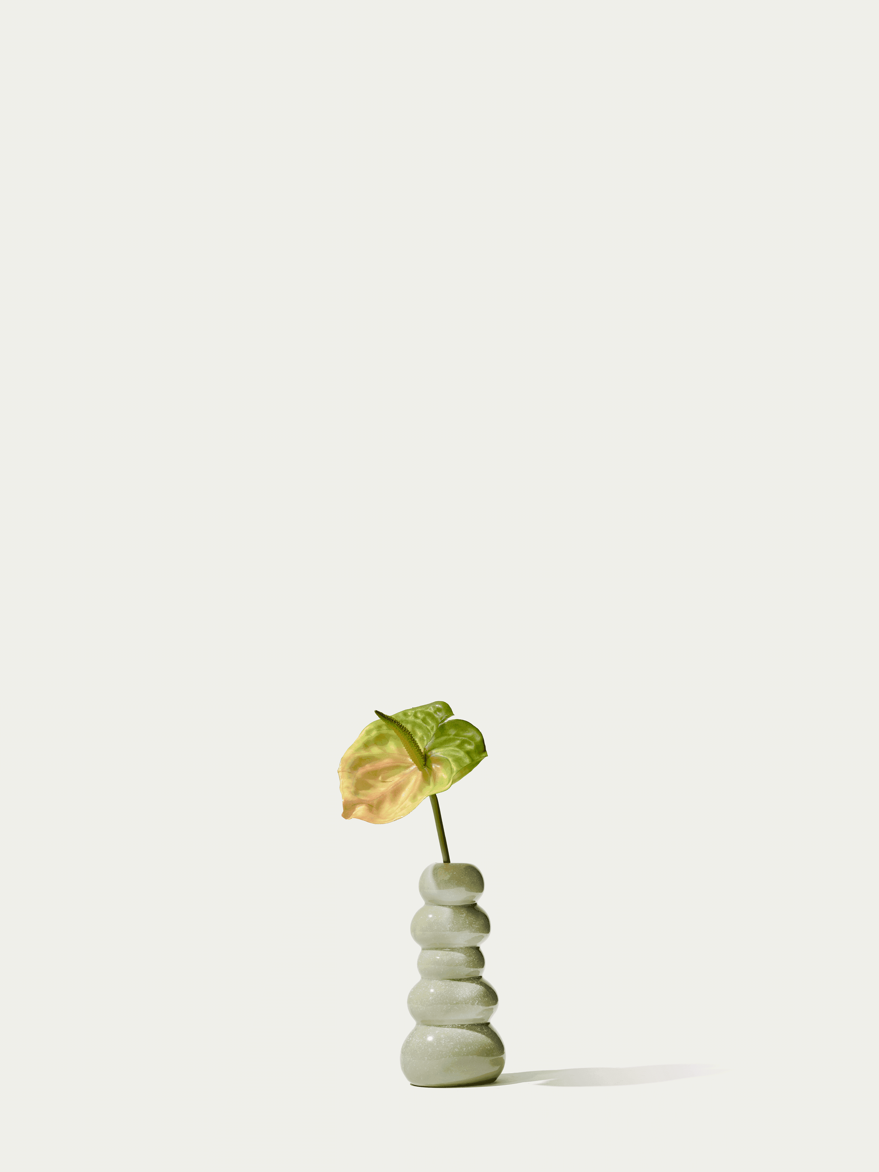 The Mini Anthurium