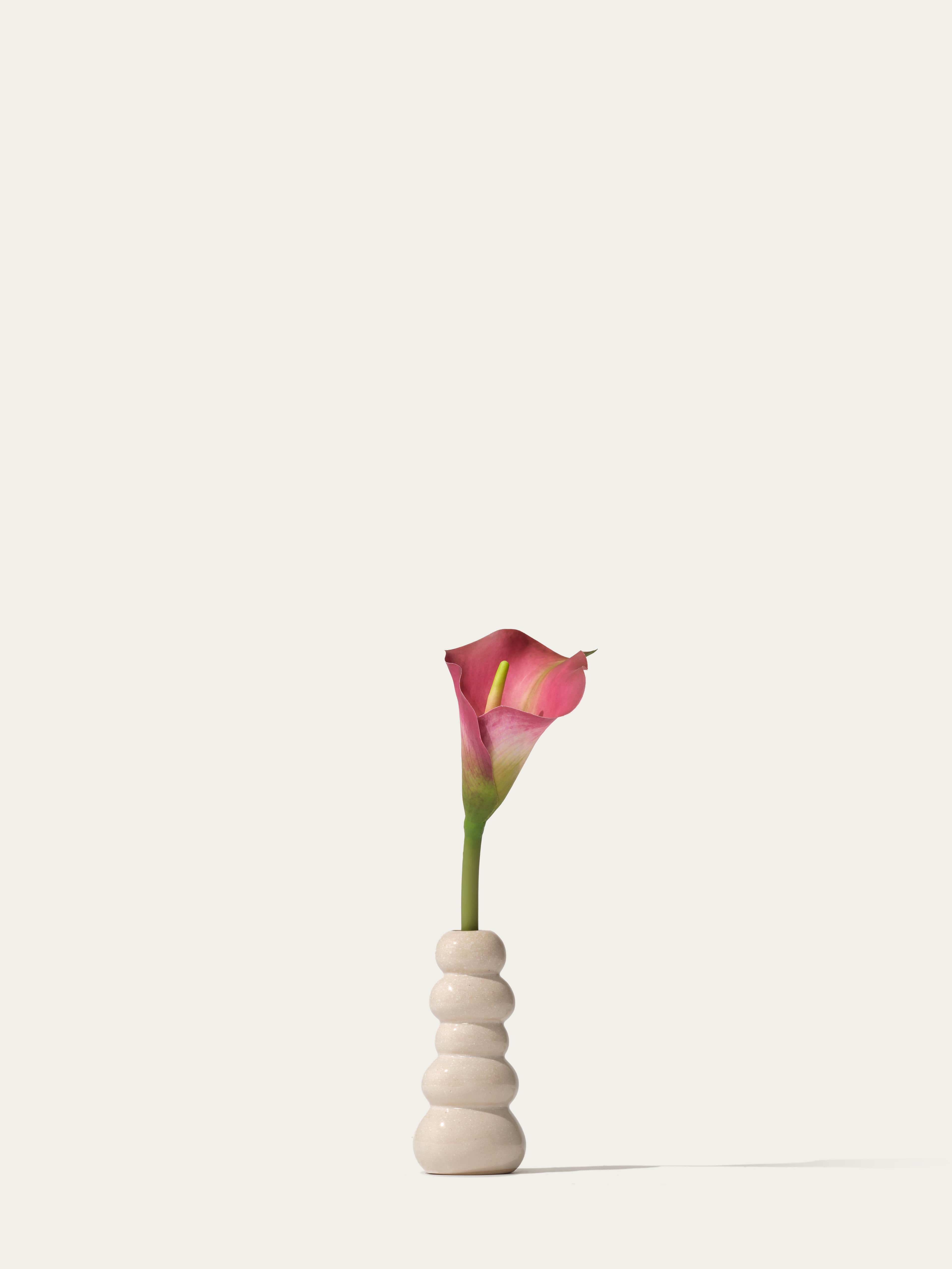 The Mini Calla