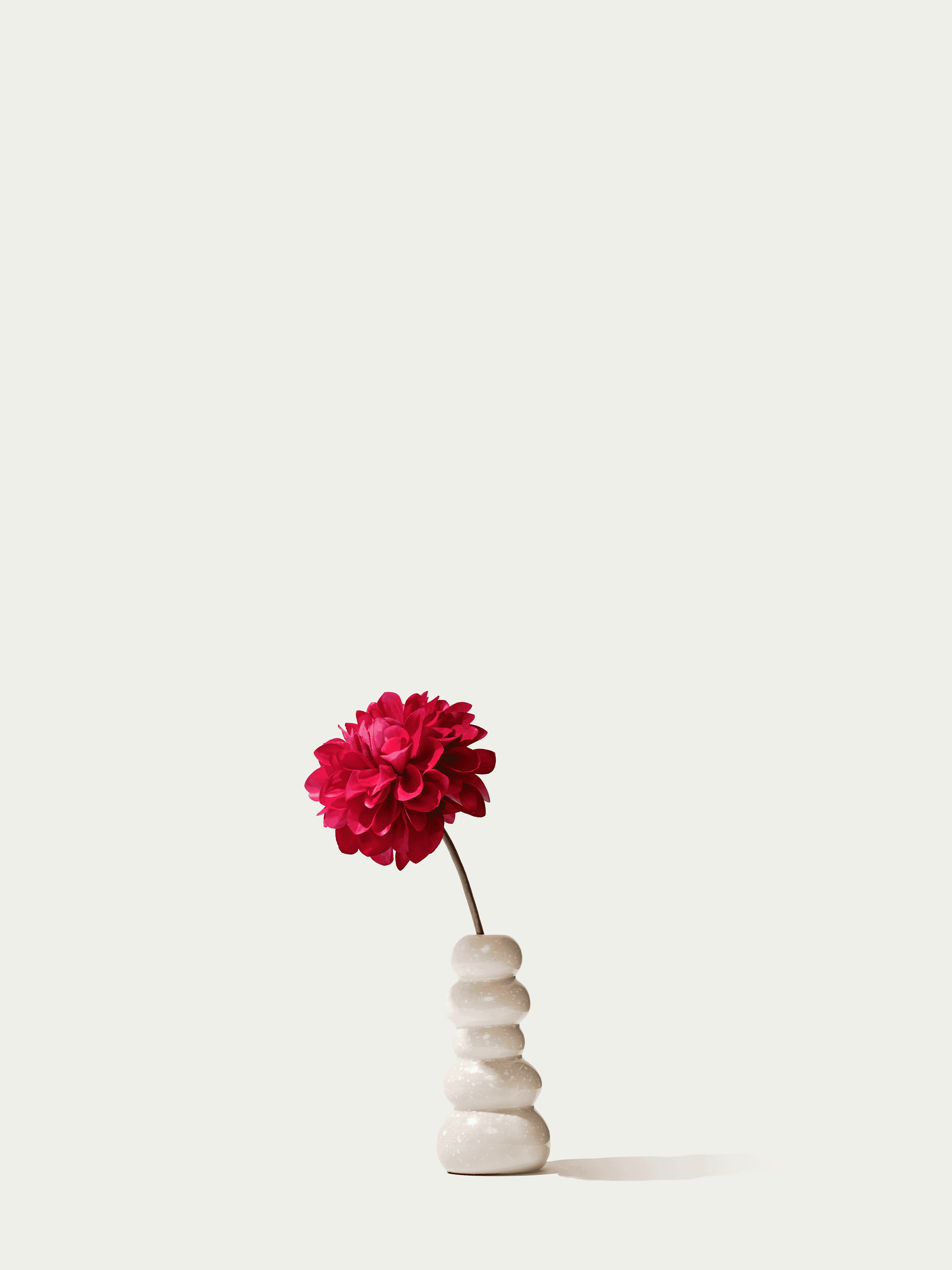 The Mini Dahlia