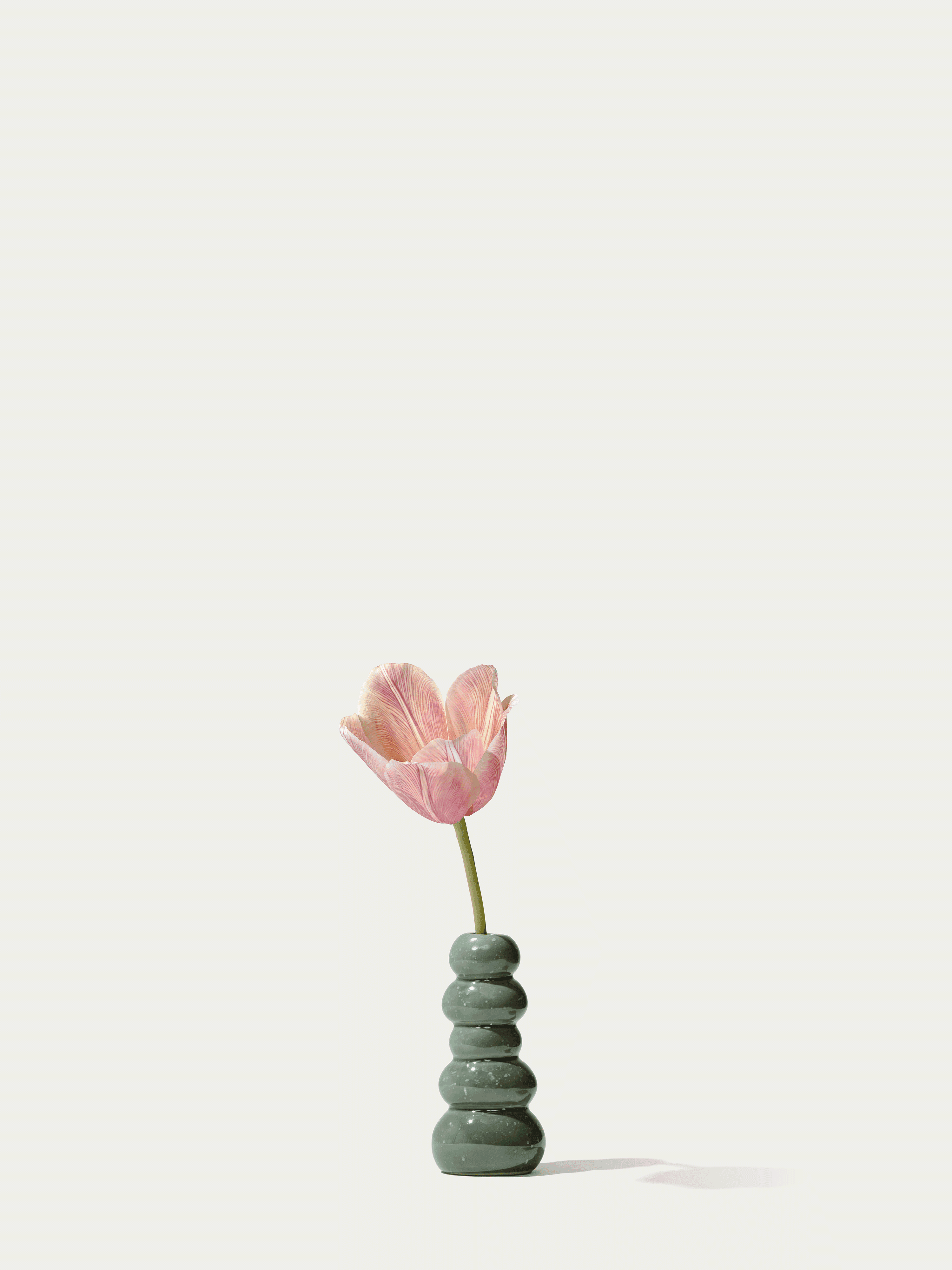 The Mini Tulip