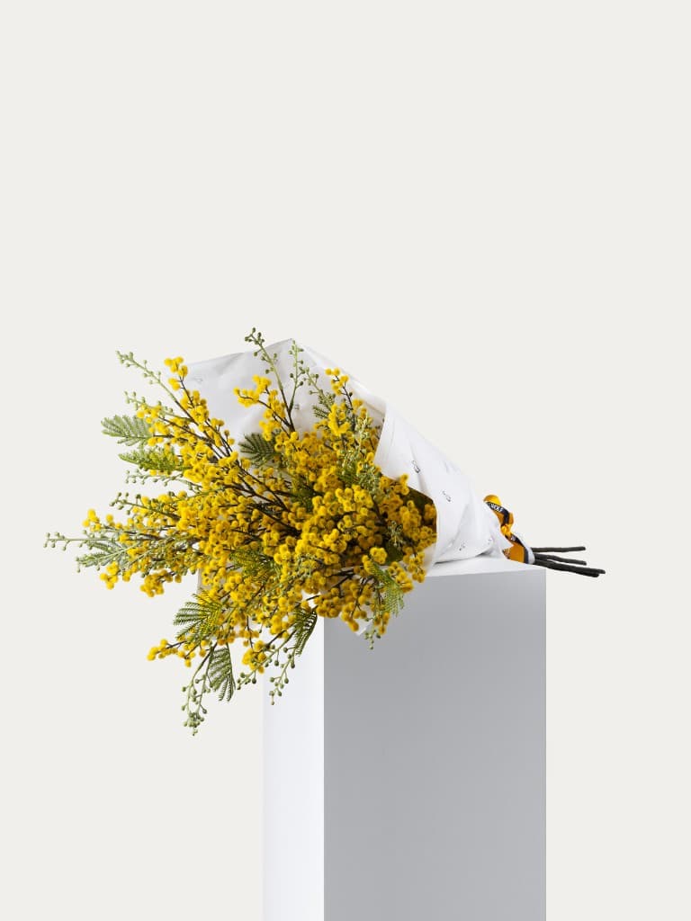 Mimosa bouquet