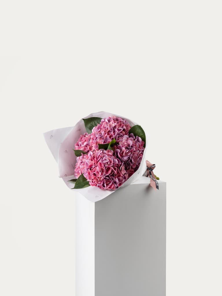 Hydrangea bouquet